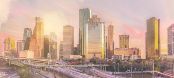 Houston Skyline Annual Report