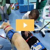 Facility Dogs Spread Valentine's Day Joy at Memorial Hermann