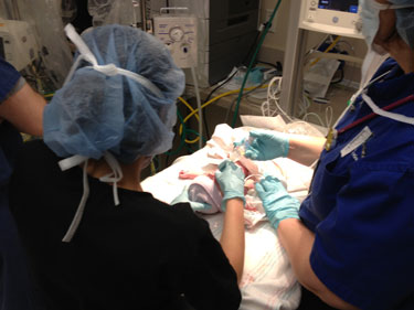 Jayden and Luke operation