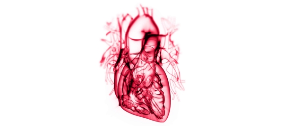 Heart render
