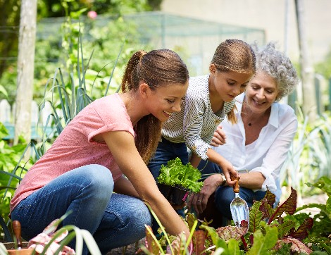 3 generations of women planting herbs in their garden. 