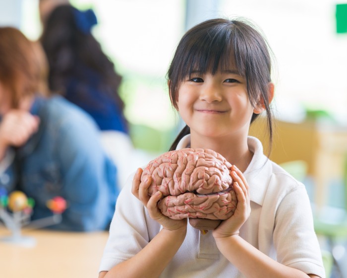 girl smiling and holding toy brain